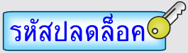 ปลดล็อคเครื่องนอก เน้นรุ่นที่ใช้กล่องแฟลชหรืออุปกรณ์ทั่วไปแก้ไขปลดไม่ได้ ปลดโดยใช้Credit ซื้อรหัสปลดล็อค แล้วรอรับรหัสมาใส่มือถือ