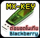 MXKEY ʹͧ ҡ