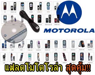 แฟลต อัพไทยโมโต